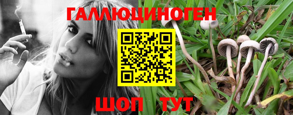Псилоцибиновые грибы Magic Shrooms  Вход с VPN  Галлюциногенные грибы Cubensis  Верхняя Салда 